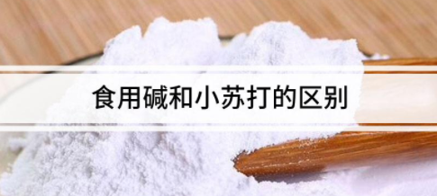 小苏打与食用碱的区别是什么？ 食用碱和小苏打的区别