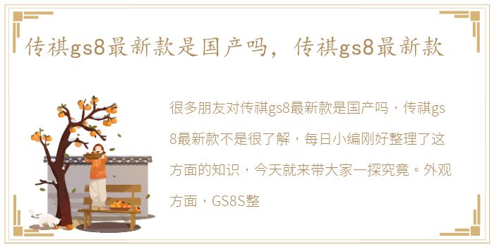 传祺gs8最新款是国产吗，传祺gs8最新款