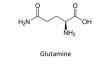 为什么在氨浓度较低的情况下也能形成谷氨酸胺 天冬酰胺和谷氨酰胺怎么来的