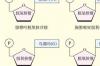 脱氧核苷酸结构式？ 五种碱基结构式