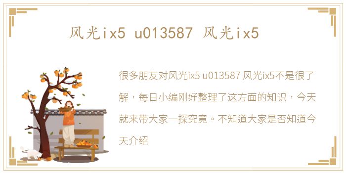 风光ix5 u013587 风光ix5