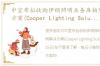 中宣布拟收购伊顿照明业务库柏照明解决方案(Cooper Lighting Solutions)昨日(15日)在