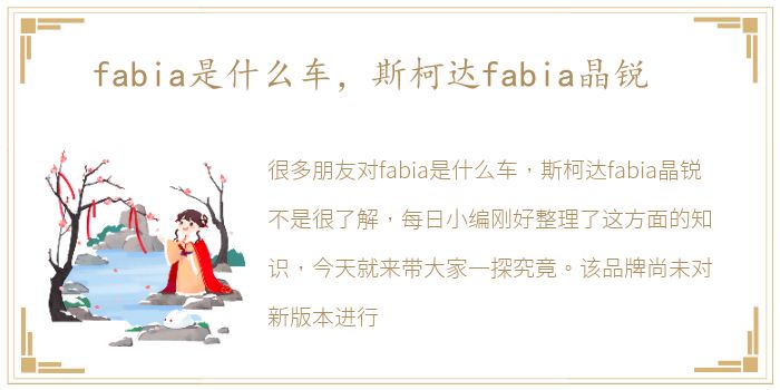 fabia是什么车，斯柯达fabia晶锐