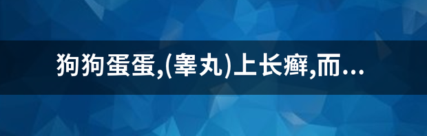 左侧阴囊内睾丸上有一块肉球一样的 摸着也不痛 也没什么不适的 这是什么东西 要不要紧呢 蛋蛋里面有一坨东西连着睾丸