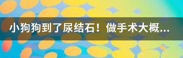 做个肾结石手术需要多少钱？ 结石手术大概多少钱