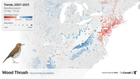 新颖的机器学习方法可生成550种鸟类的详细种群趋势图