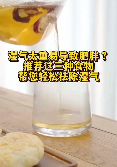 除湿气的食物 三种豆类除湿气