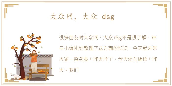 大众网，大众 dsg