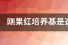 刚果红染色用什么培养基？ 刚果红培养基配方