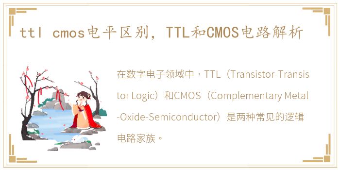 ttl cmos电平区别，TTL和CMOS电路解析