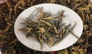 古丁元与苦丁茶是一样的吗？ 苦丁茶的功效与禁忌