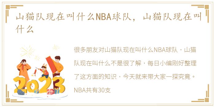 山猫队现在叫什么NBA球队，山猫队现在叫什么