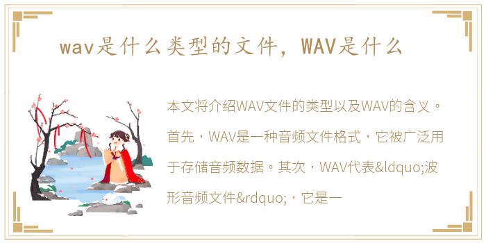 wav是什么类型的文件，WAV是什么