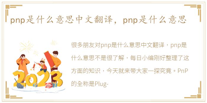 pnp是什么意思中文翻译，pnp是什么意思