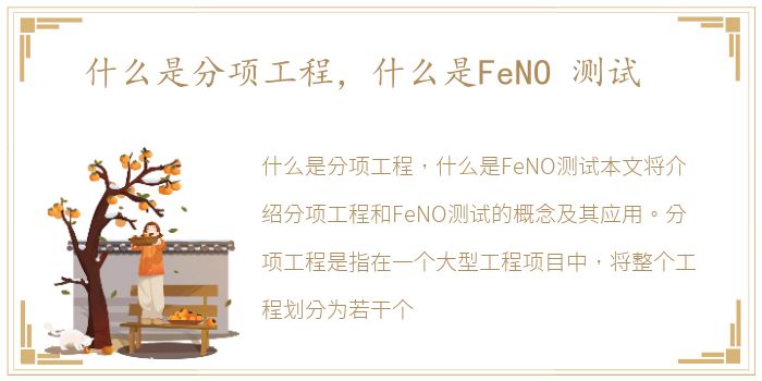 什么是分项工程，什么是FeNO 测试