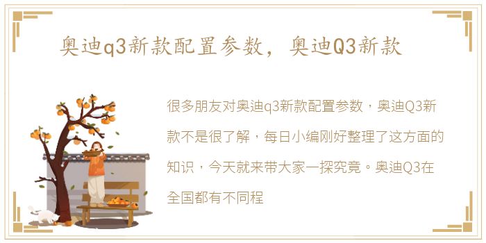 奥迪q3新款配置参数，奥迪Q3新款