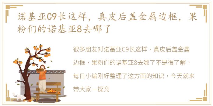 诺基亚C9长这样，真皮后盖金属边框，果粉们的诺基亚8去哪了