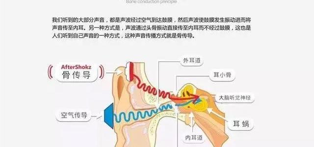 医美产业链深度剖析，深度剖析骨传导技术原理、优点以及应用