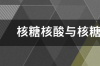 脱氧核苷酸和核糖核苷酸的区别，组成？ 核糖核酸和核糖核苷酸的区别