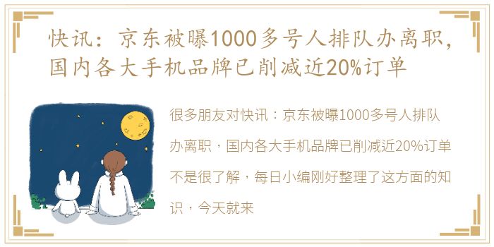 快讯：京东被曝1000多号人排队办离职，国内各大手机品牌已削减近20%订单