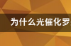 罗丹明b为什么可以用吸附的方法除去 罗丹明b的降解过程