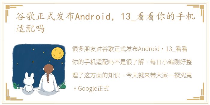 谷歌正式发布Android，13_看看你的手机适配吗