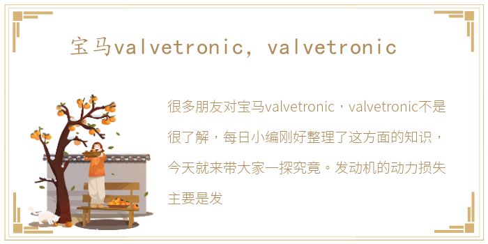 宝马valvetronic，valvetronic