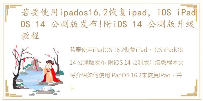 若要使用ipados16.2恢复ipad，iOS iPadOS 14 公测版发布!附iOS 14 公测版升级教程