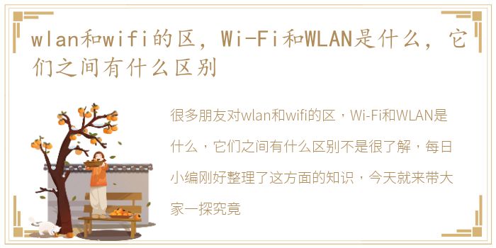 wlan和wifi的区，Wi-Fi和WLAN是什么，它们之间有什么区别