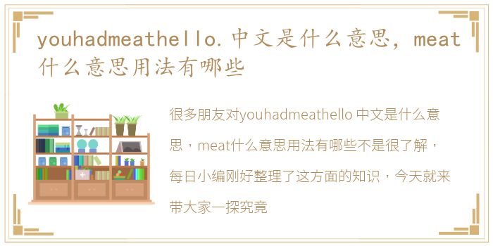 youhadmeathello.中文是什么意思，meat什么意思用法有哪些