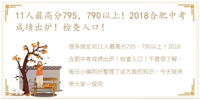 11人最高分795，790以上！2018合肥中考成绩出炉！检查入口！