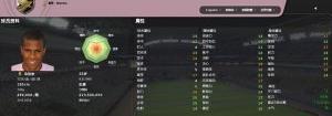 fifa足球经理2009(fifa manager 09)游戏介绍，fifa足球经理2009(fifa manager 09)