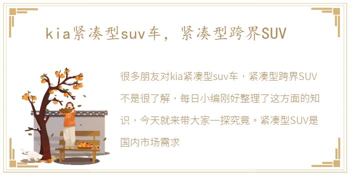 kia紧凑型suv车，紧凑型跨界SUV