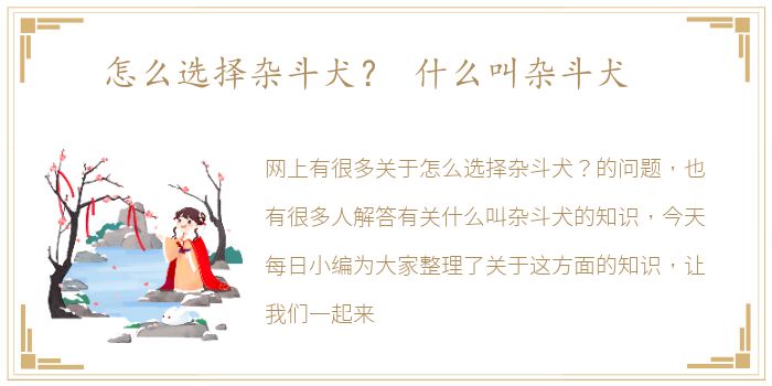 怎么选择杂斗犬？ 什么叫杂斗犬