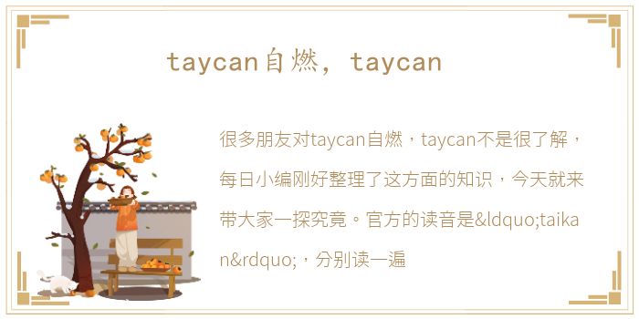 taycan自燃，taycan