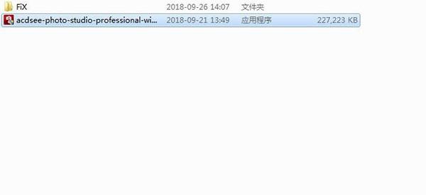 acdsee pro 2019中文修改版软件介绍，acdsee pro 2019中文修改版