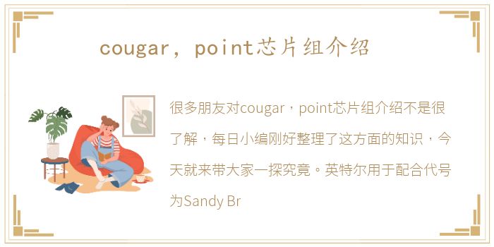 cougar，point芯片组介绍