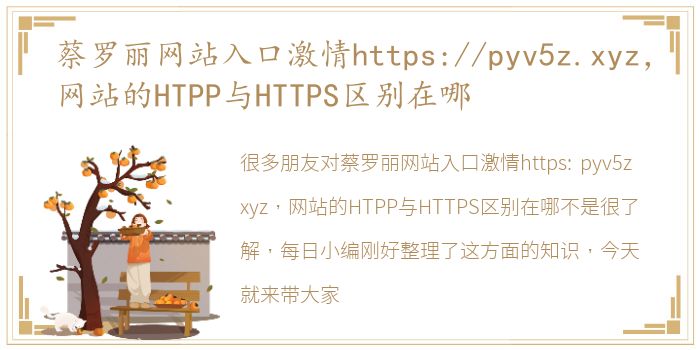 蔡罗丽网站入口激情https://pyv5z.xyz，网站的HTPP与HTTPS区别在哪