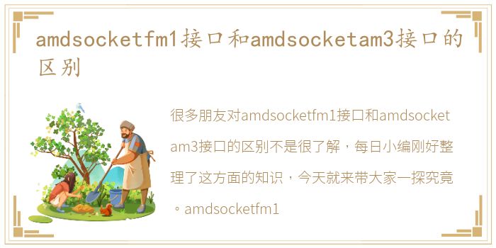 amdsocketfm1接口和amdsocketam3接口的区别