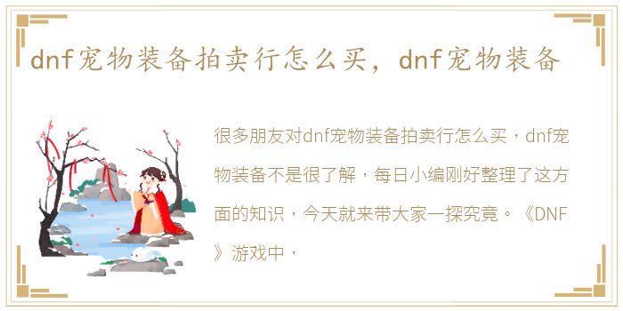 dnf宠物装备拍卖行怎么买，dnf宠物装备