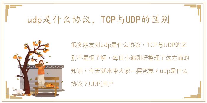 udp是什么协议，TCP与UDP的区别