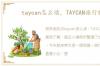 taycan怎么读，TAYCAN旅行版