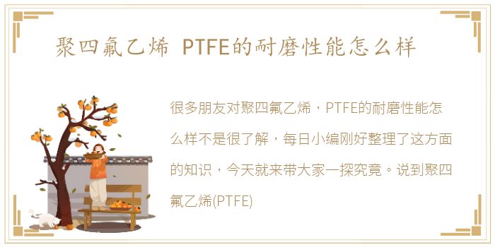 聚四氟乙烯 PTFE的耐磨性能怎么样