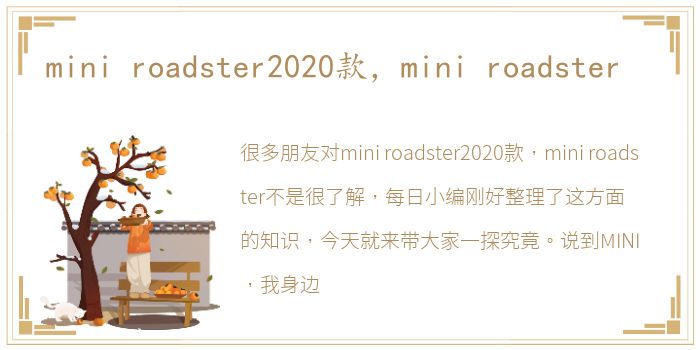 mini roadster2020款，mini roadster