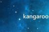 kangaroo是什么动物 kangaroo