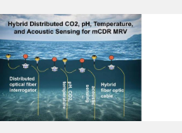 部署传感器网络来测量从表面到深处的海洋二氧化碳和pH值