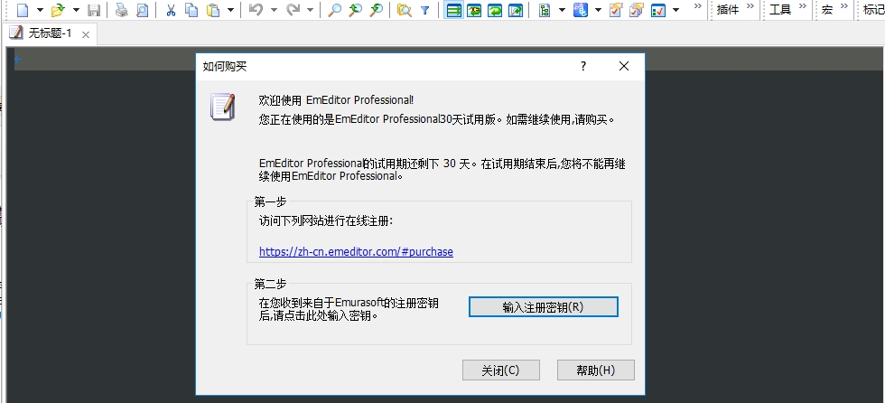 emeditor pro版软件介绍，emeditor pro版