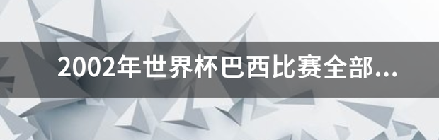 2002年世界杯巴西比赛全部比分 2002世界杯全部战绩