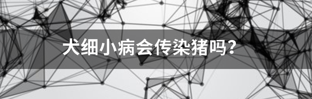 犬细小病会传染猪吗？ 狗狗细小病对人有没有传染