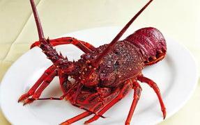 进口澳洲龙虾禁令文件是什么 澳洲龙虾
